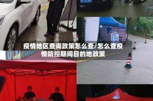 疫情地区查询政策怎么查/怎么查疫情防控期间目的地政策