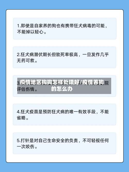 疫情地区狗狗怎样处理好/疫情养狗的怎么办-第1张图片