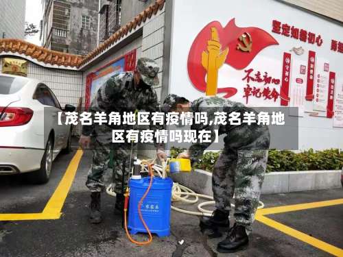 【茂名羊角地区有疫情吗,茂名羊角地区有疫情吗现在】-第3张图片