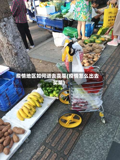 疫情地区如何进去卖菜(疫情怎么出去买菜)-第1张图片