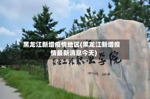 黑龙江新增疫情地区(黑龙江新增疫情最新消息今天)-第2张图片