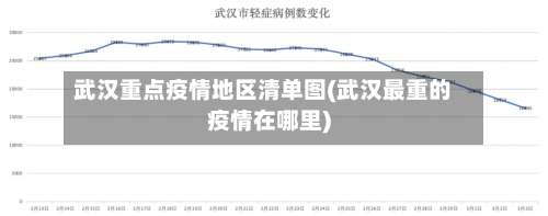 武汉重点疫情地区清单图(武汉最重的疫情在哪里)-第1张图片