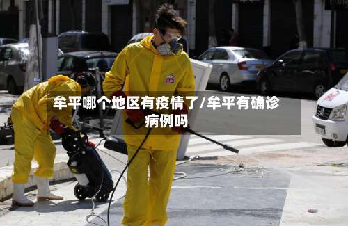 牟平哪个地区有疫情了/牟平有确诊病例吗-第3张图片