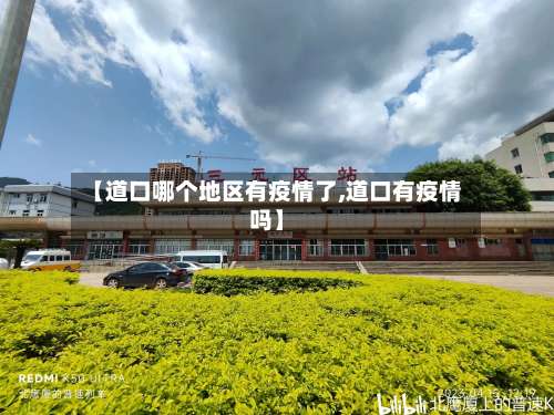 【道口哪个地区有疫情了,道口有疫情吗】-第1张图片