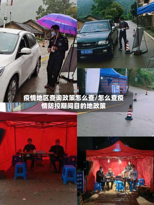 疫情地区查询政策怎么查/怎么查疫情防控期间目的地政策-第1张图片