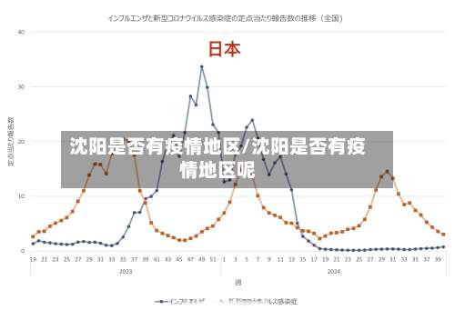沈阳是否有疫情地区/沈阳是否有疫情地区呢-第2张图片